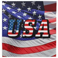 USA - American Flag Cloth Napkin