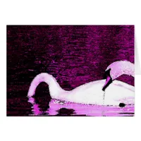 Swans Feeding Purple