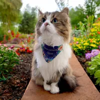 Sweet and Sassy Colorful Pet Bandana Collar