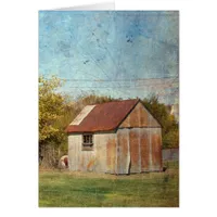 The Shed