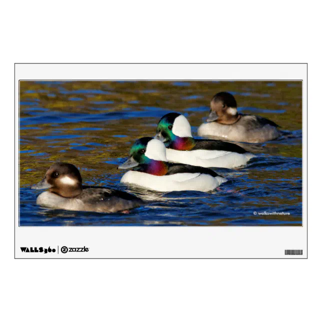 Getting My Ducks in a Row: Four Buffleheads Wall Decal