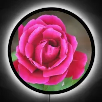 Vibrant Fuchsia Pink Rose Blossom Makro Case-Mate  LED Sign