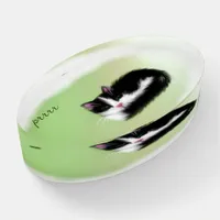 Black and White Catnap Purring Tuxedo Kitten  Paperweight