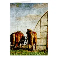 Two Horses Ready For Work Cards