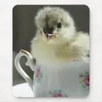 Blue Cochin Chick Mouse Pad