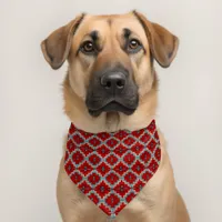 Southwest Mesas Turquoise and Red Geometric Design Pet Bandana Collar