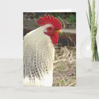 Wonderful Rooster 2 Card