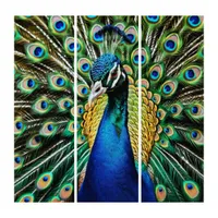 Elegant Turquoise Stylish Beautiful Peacock Bird Triptych