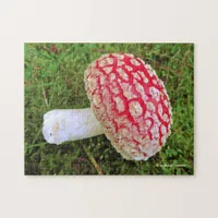 Fallen Fly Agaric / Amanita Muscaria Red Mushroom Jigsaw Puzzle