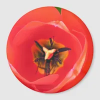 RedTulip Magnet