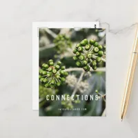 Seed Pods - Manifest Connections Postcard