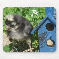 Chick and Mixed Media Birdhouse Mouse Pad