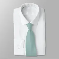 Simple Eggshell Blue Birch Necktie