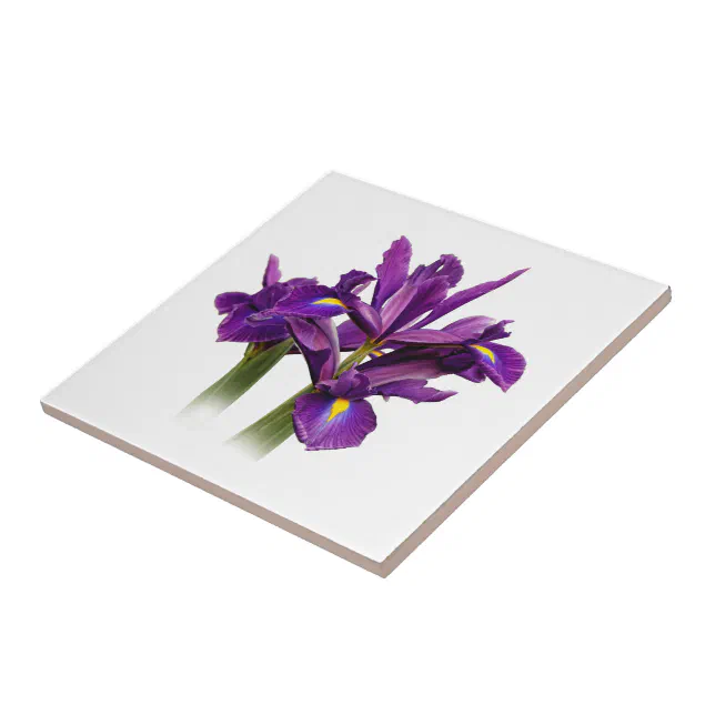 Elegant Dutch Iris Purple Sensation Ceramic Tile