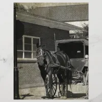 Stop for A Spell, Amish Horse at Stop Sign