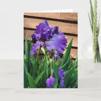 Happy Birthday | Purple Iris Card