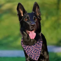 American Flag in the Wind Waving Banner Tiled Pet Bandana Collar