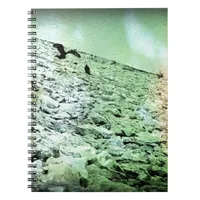 Vultures at the Lake Notebook