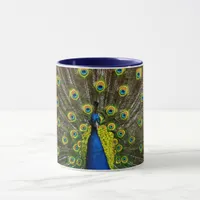 Colorful peacock mug