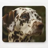 Rare Spotted Brown Dalmatian | Liver Dalmation Mouse Pad