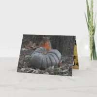 Autumn Greetings | Funny Squirrel Eating Pumpkin Card