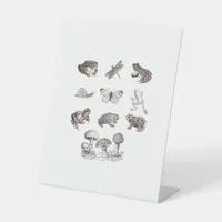 Cottagecore Aesthetic Mushroom Academia Frog Gobli Pedestal Sign