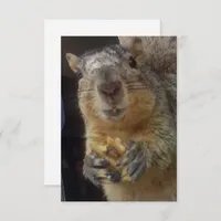 Card - Squirrel Thank You