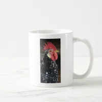 Ancona Roo Coffee Mug