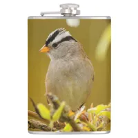 Profile of a Pensive White-Crowned Sparrow Hip Flask