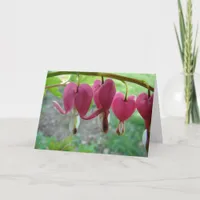 Bleeding Hearts Card