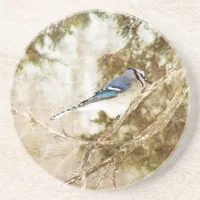 Blue Jay Sandstone Coaster