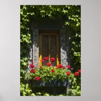 Red Geranium Window Box Poster