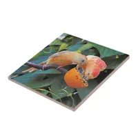 Love is Sharing: Yellow Turquoisine Parakeets Ceramic Tile