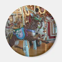 Goat Magnet