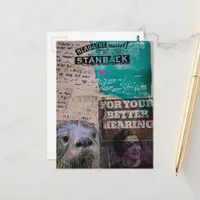  Otter with Vintage Headache and Hearing Ads Postcard