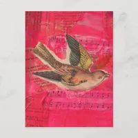 Vintage Bird Mixed Media Collage Hot Pink  Postcard