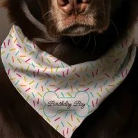 Birthday Boy Rainbow Sprinkles Pattern Dog Bandana