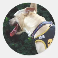Thumbnail for Adopt Me Classic Round Sticker