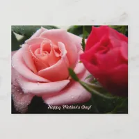 Mothers Day Pink and Red Rose Postcard