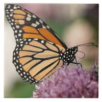 Monarch Butterfly and Bumblebee on Wildflower Ceramic Tile