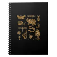 Frog Mushroom Moth Vintage Lover Goblincore Notebook