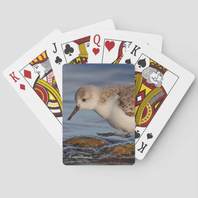 Cute Sanderling Sandpiper Walks Winter Beach Poker Cards