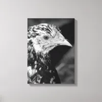 Ancona Hen Canvas Print