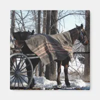 Amish Horses Waiting In Winter Magnet