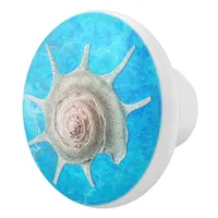 Spiral Shell "Beach Life" Ceramic Knob