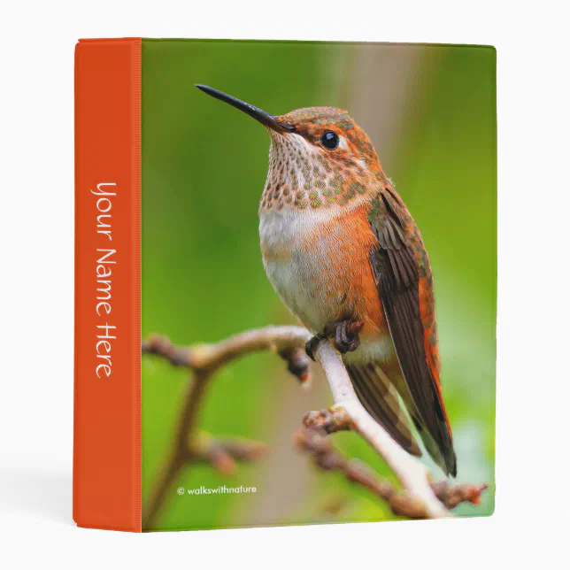 Female Rufous Hummingbird on the Plum Tree Mini Binder