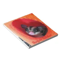 Sugar Glider in Orange Hanging Bed Notepad