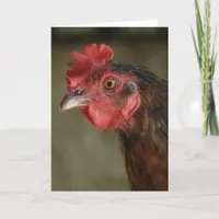 Barnyard Mix Hen Card
