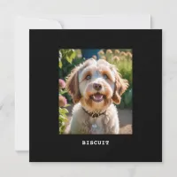 Personalized Pet Photo Name Dog Cat Greetings Card