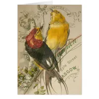 Birds on Vintage Photo Back